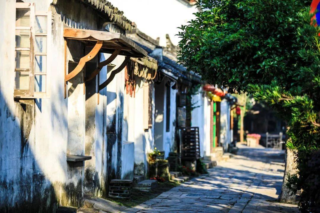 牧原股份:预计2023年净利润亏损38亿元-46亿元 同比转亏